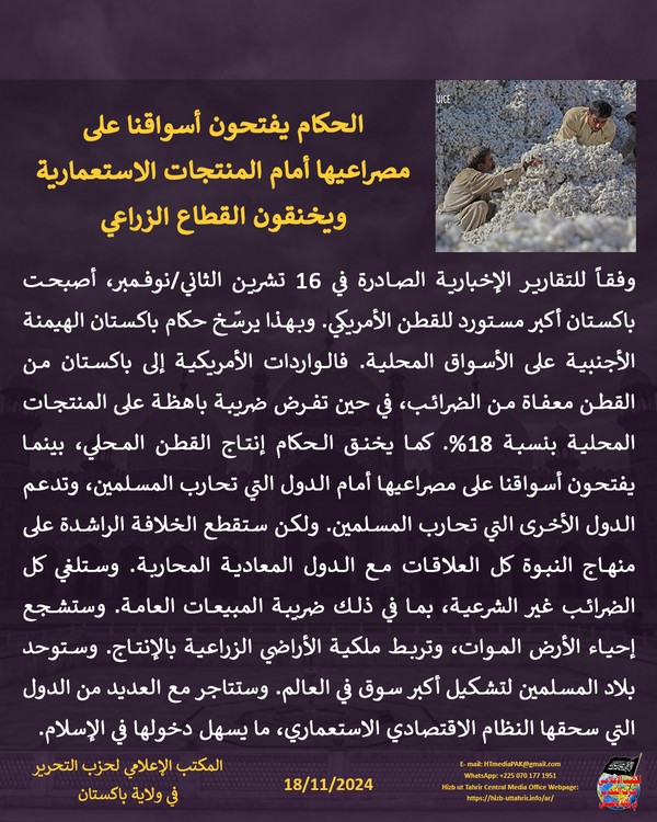 5 241118fb pk fb Cotton AR