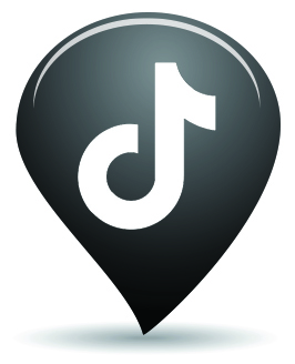 tiktok icon