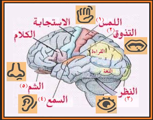 bloogh almaram 23 2