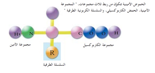 الخلية 1